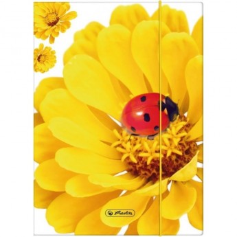 Папка с резинкой HERLITZ SPRING